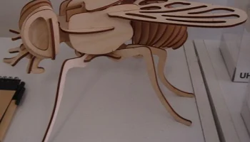 Макет "Деревянная муха 3d модель шаблона"