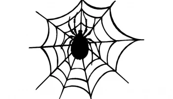 Layout "Spider and web" #4573827754
