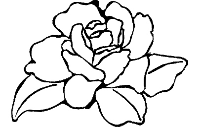Макет "Цветочная роза" 0