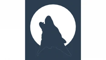 Макет "Лунный силуэт волка 10×12" #8226355555