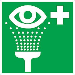 Макет "Знак с зелеными глазами" 0