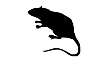 Layout Silhouette of a rat #2770724815