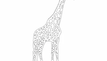Макет "Girafa"