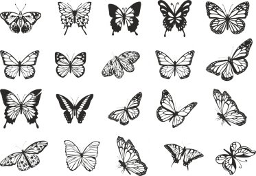Макет "Коллекция векторных рисунков бабочек" 0