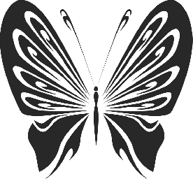 Макет "Векторный рисунок бабочки" 0