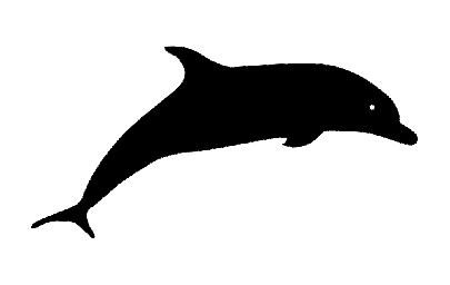 The "Dolphin Silhouette" layout 0