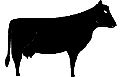 Layout "Cow" #6069889417 0