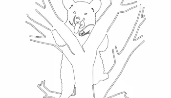 Медведь 8