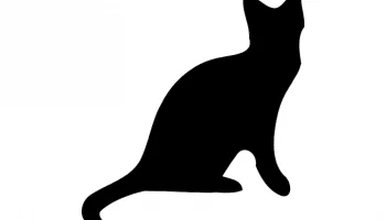 Layout Silhouette of a cat vector #1251415231