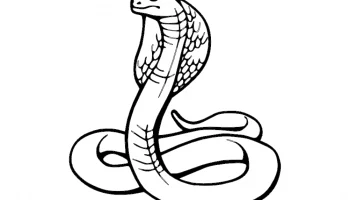 Мраморикс дизайн Кожа Змея серая