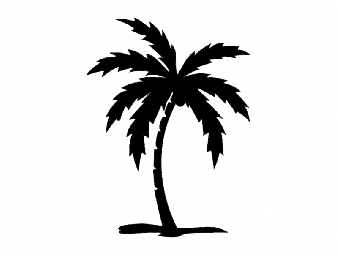 Макет "Пальмовое дерево" #2275417218 0