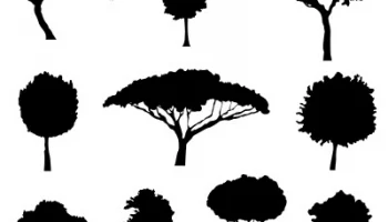 Макет "Различные деревья"