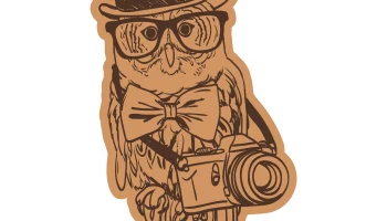Макет "Шаблон для гравировки совы в кепке с фотоаппаратом и очками"