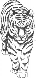 Макет "Художественная печать тигра" 0
