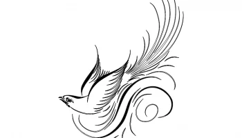 Каллиграфическая птица вектор