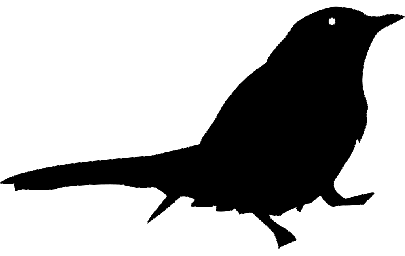 Layout "Silhouette of a bird" #1273844253 0