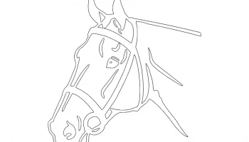 Детальный силуэт головы лошади