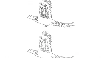 Mock-up of "Flying Birds" #442946974