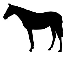 Силуэт стоящей лошади