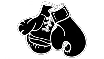 Боксерские перчатки 1