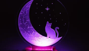 Макет "Кошка и луна 3d иллюзия ночник"