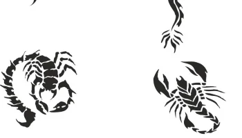 Векторный набор рисунков татуировок дракона