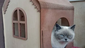 Макет "Деревянный домик для кошки мебель для кошек подарок любителю кошек"