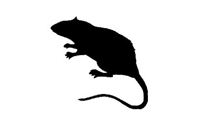 Layout "Silhouette of a rat" #2770724815 0