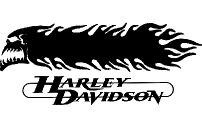 Макет "Harley davidson череп и пламя 3d" 0