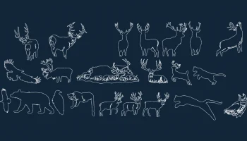 Лесные картинки художественный диск животные