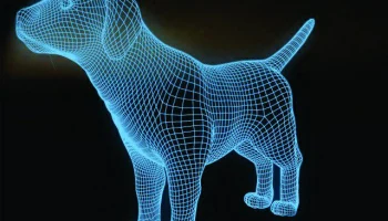 Макет "Собака 3d светодиодный ночник"