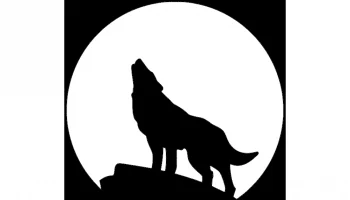 Волк с луной