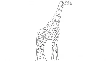 Макет "30 жираф"