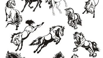Макет "Коллекция векторных рисунков с наклейками лошадей"