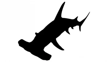 Mock-up "Silhouette of a shark with a hammer head" #4415871017