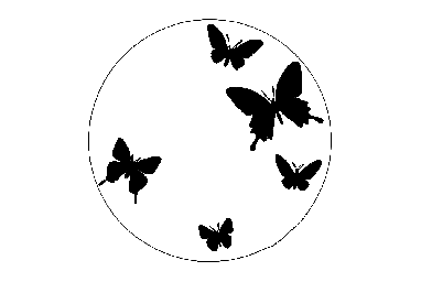 The layout of the "Clock with a butterfly" 0