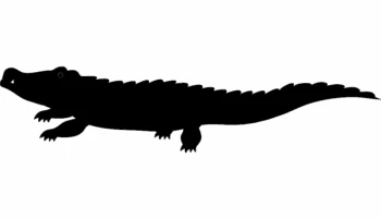 Крокодил силуэт вектор