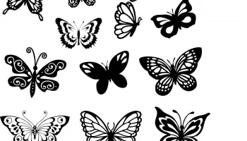 Макет "Набор векторных рисунков бабочек"