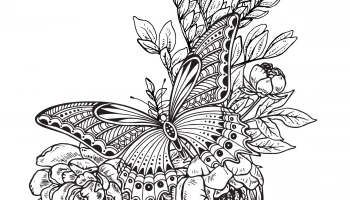 Макет "Бабочка цветы декор рисунок вектор"