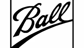 Макет "Логотип мяча"