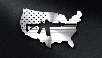 Макет "Флаг США с вырезанным пистолетом"