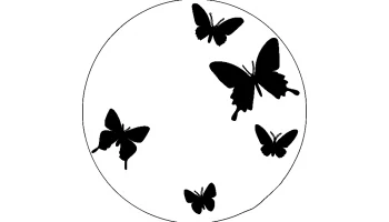 The layout of the "Clock with a butterfly"