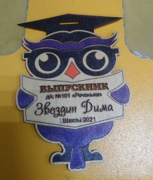 Макет "Сова деревянная медаль сова награда" 0