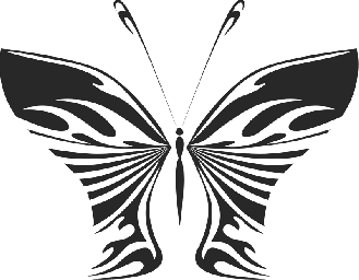 Макет "Бабочка векторная иллюстрация" #5964451581 0
