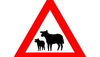 Макет "Дорожный знак, предупреждающий об овцах на дороге"