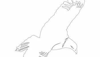 Макет "камбэмский орел"