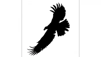Макет "Логотип орла" #3297007721