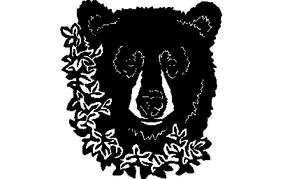 Макет "Медвежий цветок" 0