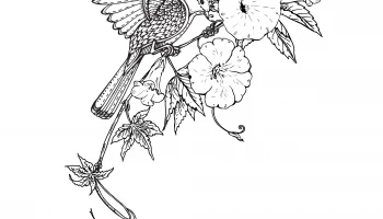 Макет "Птица цветы декор вектор"