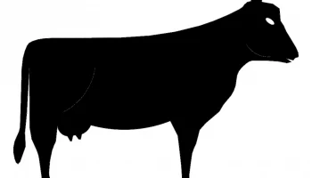 Layout "Cow" #6069889417